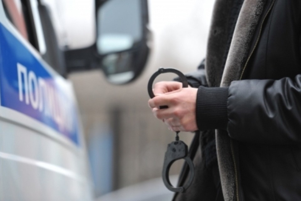 Полиция задержала подозреваемого в убийстве женщины и ребенка на севере Москвы
