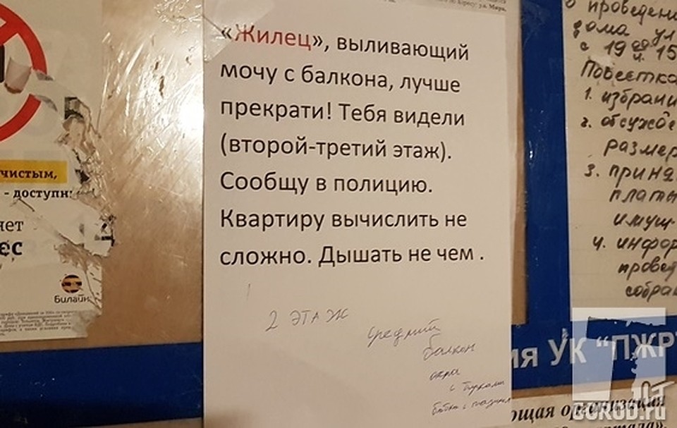 Объявление в подъезде. Фото: tltgorod.ru