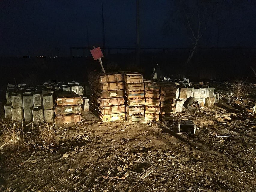 Проверку по факту происшествия проводят следователи регионального СУ СК