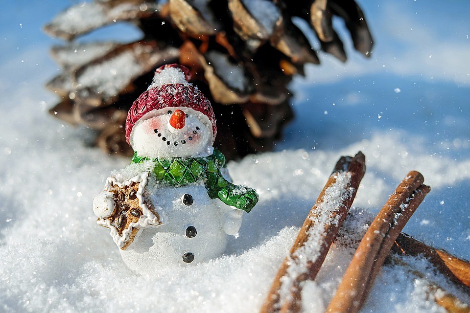 Фото: pixabay.com