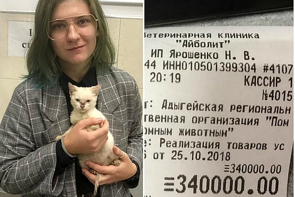 19-летняя студентка разбила копилку — и передала приюту на погашение задолженности кровные 340 тысяч
