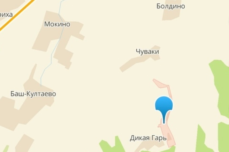 Место, где потерялись дети. Фото: страница в ВК поискового отряда имени Ирины Бухановой.
