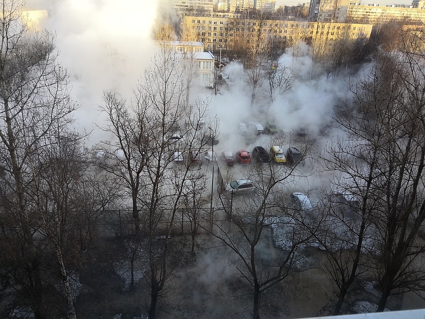 Кипяток из прорванной трубы затопил автомобили в Купчино Фото: соцсети