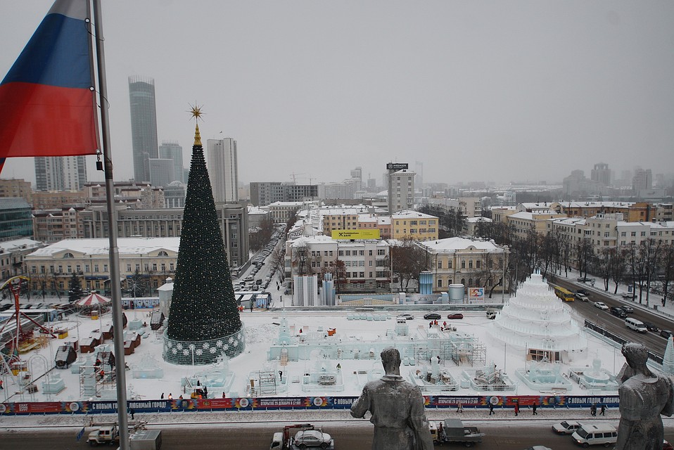 Новогоднее дерево привезут в середине декабря