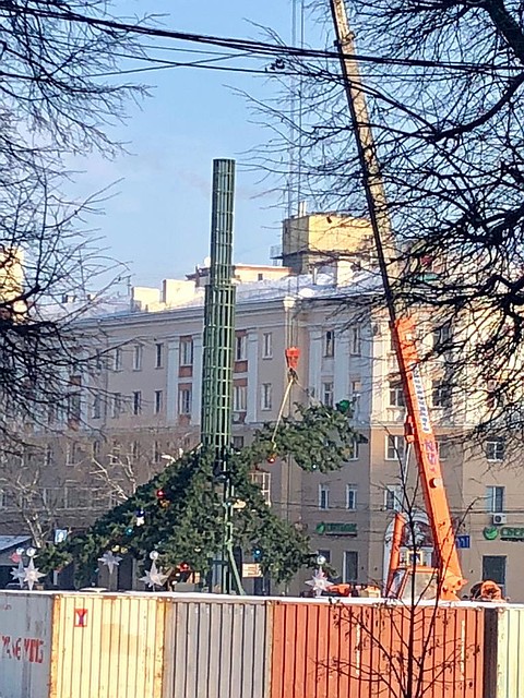 Монтаж елки на площади Ленина должны завершить до 20 декабря.