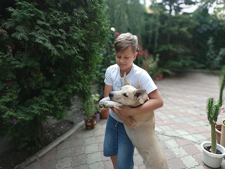 Арсений Михайлов приютил пса, но для этого ему пришлось потрудиться. Фото: личный архив героя публикации