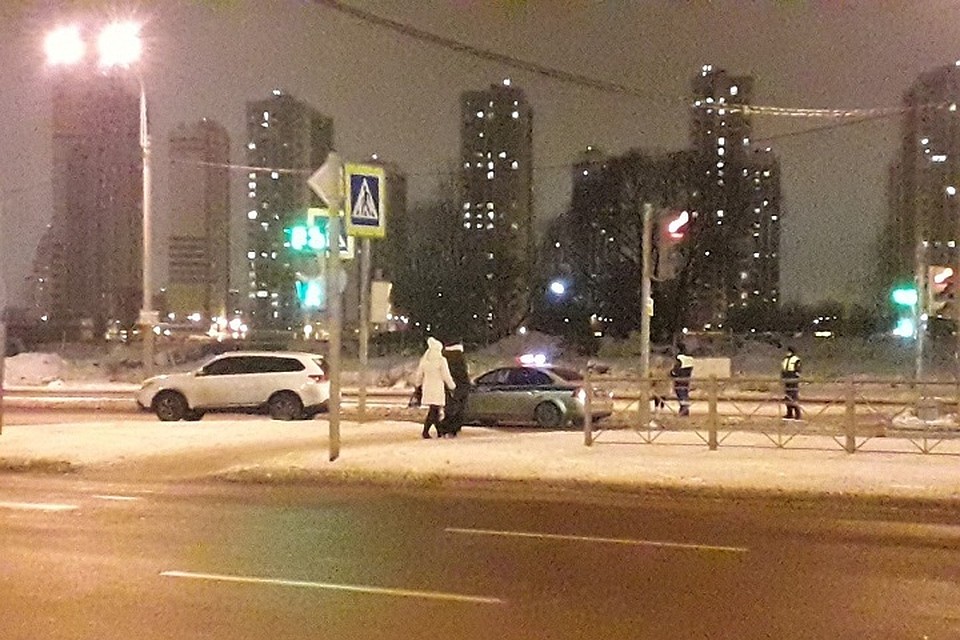 В Купчино на переходе сбили девушку с собакой. Фото: vk.com/spb_today