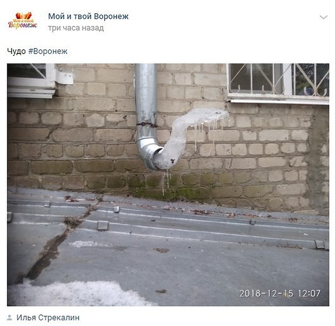 Фото: скриншот соцсети.