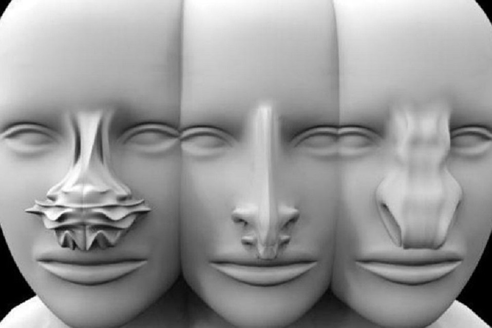 Носы для Марса напечатали на 3D-принтере. ФОТО: http://artes.ucp.pt/citarj/article/view/568/262