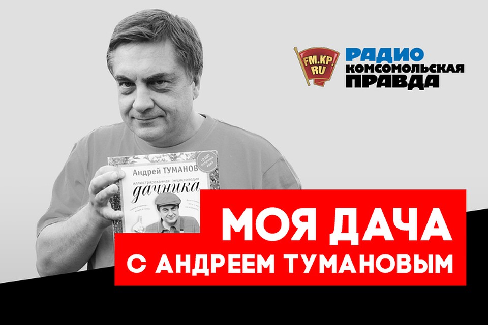 Чтоб у елочки не осыпались иголочки: ухаживаем за новогодним деревом