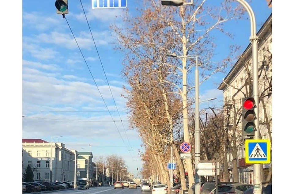 А ведь деревья наклонены все в одну сторону на бульваре Штефана чел Маре в Кишиневе! Фото: фэйсбук/Михаил Багас