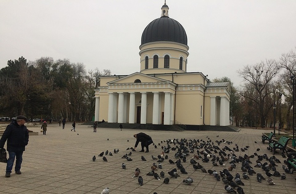 Зима - не зима: снега нет, на санках не покататься