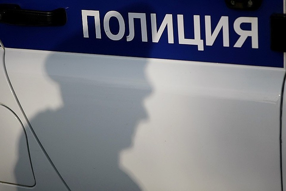 Стражи порядка Азовского района задержали подозреваемую в краже