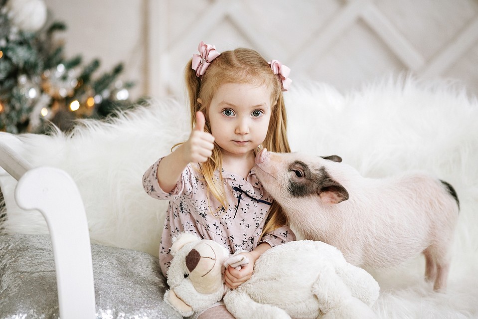 Фото: Светлана Федорова