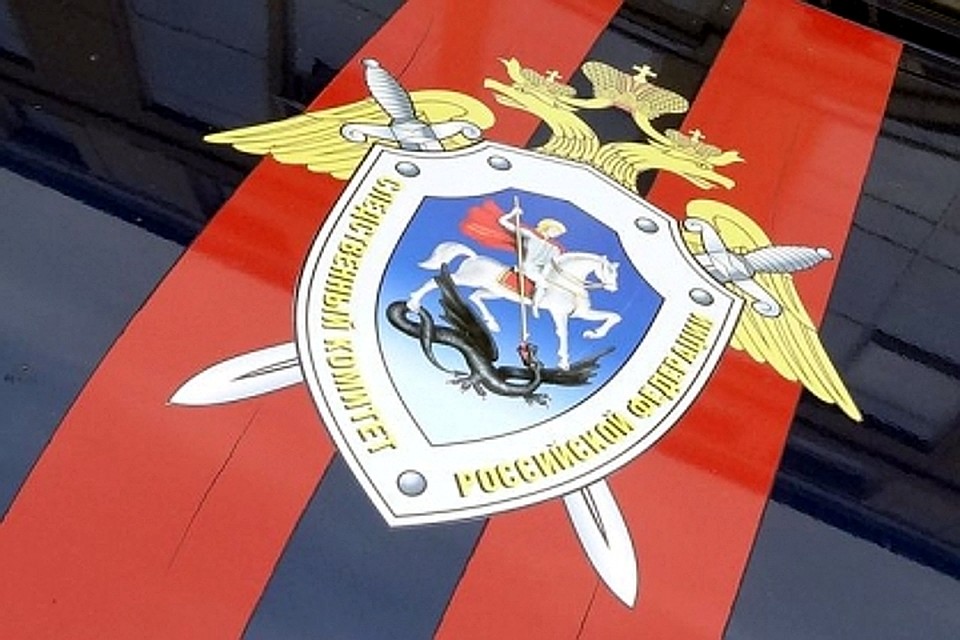 Мальчика искали и сотрудники регионального СК Фото: СУ СК РФ по Тверской области