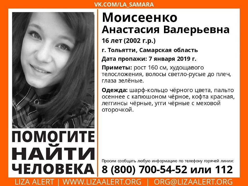 Фото: ДПСО "Лиза Алерт"