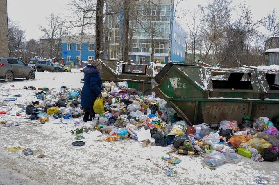 Проверка подтвердила: вокруг контейнеров кучи мусора.