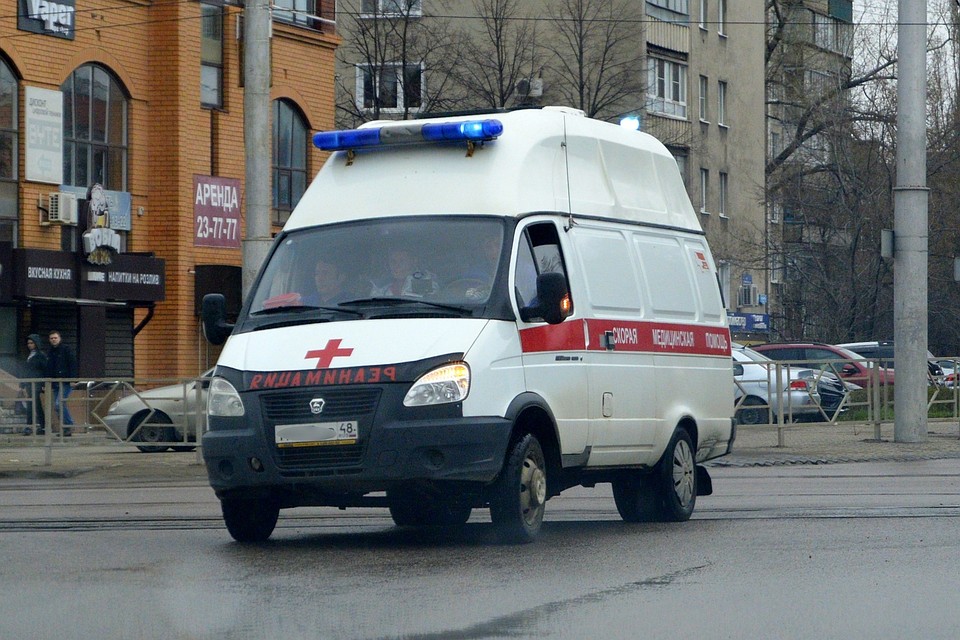 Школьника нашли на дереве в Измалковском районе