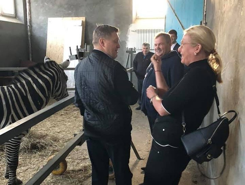 Надеюсь, что плохие времена для нашего цирка прошли! Но осадочек остался - меня укусила зебра!