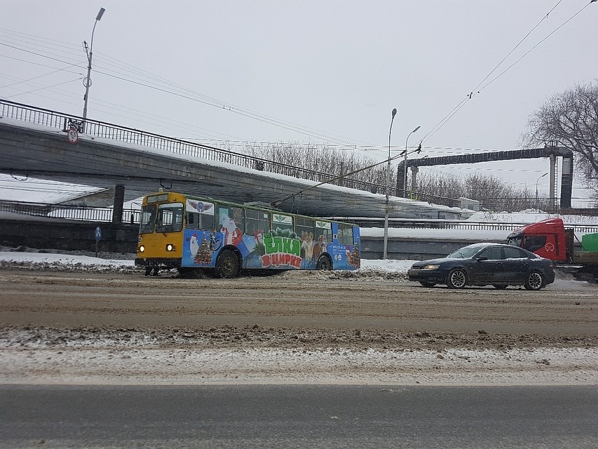 Фото: соцсети.