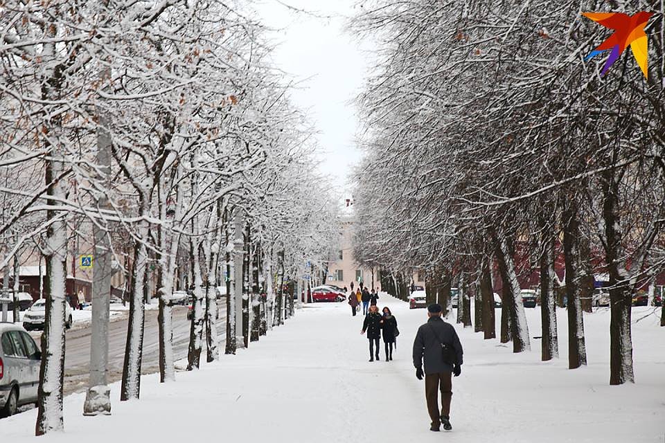 Январь 2019 года в Беларуси морозный.