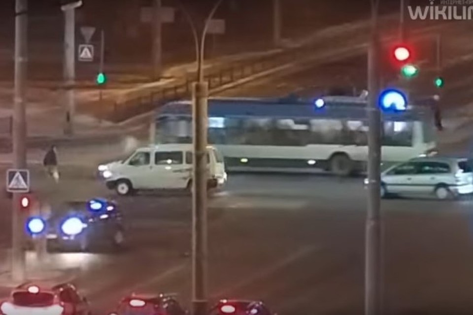 В Бресте внедорожник сбил собаку. Фото: скриншот из видео