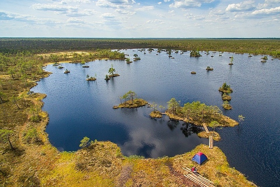 Ленинградская область стала второй в рейтинге направлений болотного туризма.