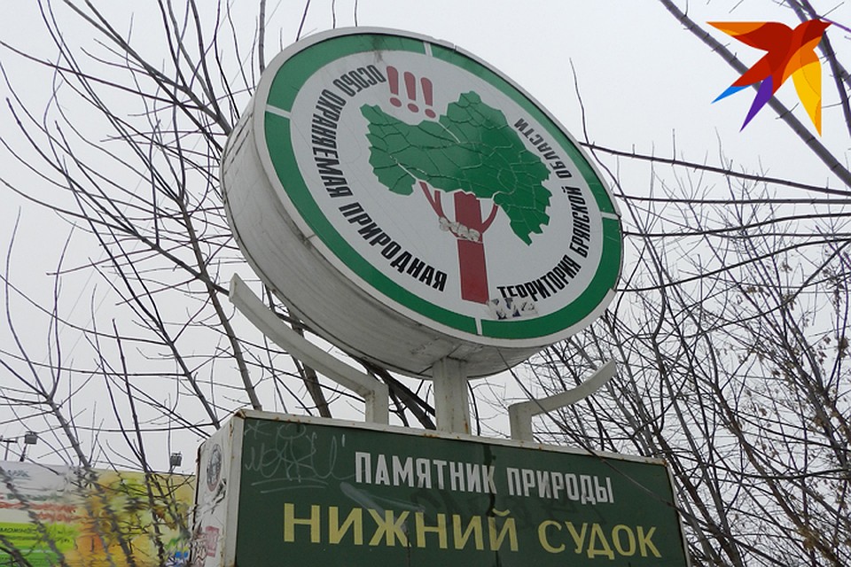 Уборку проведут в оврагах.