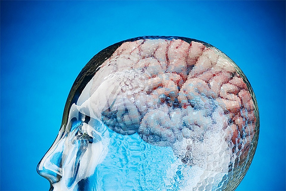 РАН предлагает проверять россиян на уровень IQ