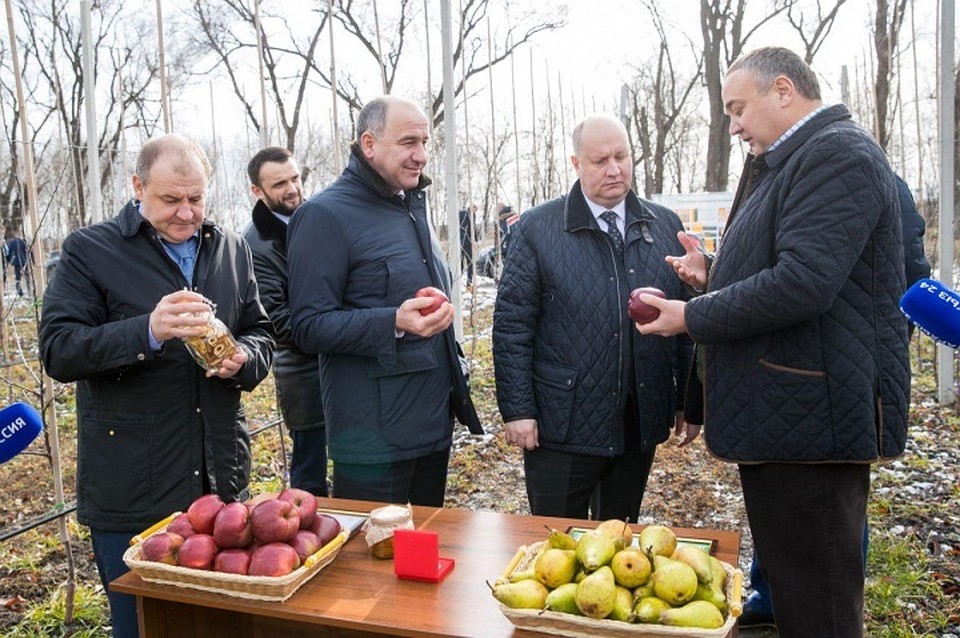 Министр РФ по делам Северного Кавказа Сергей Чеботарев и Глава Карачаево-Черкесии Рашид Темрезов посетили яблоневый сад, высаженный в рамках реализации инвестпроекта «Закладка фруктового сада интенсивного типа в Карачаево-Черкесской Республике». Автор фото: Мурат ХУТОВ.