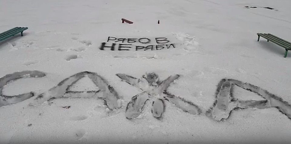 Кадр из видео организации "Гражданский патруль - Воронеж".