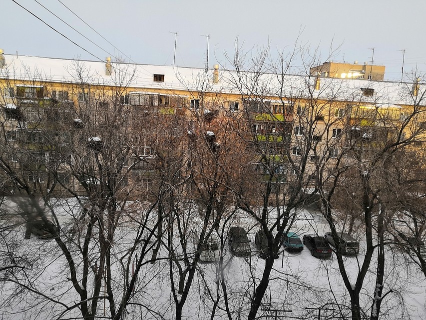 Эти гнезда во дворе и требует уничтожить жительница Магнитогорска. Фото: группа "Чёрное&Белое Магнитогорск" vc.com