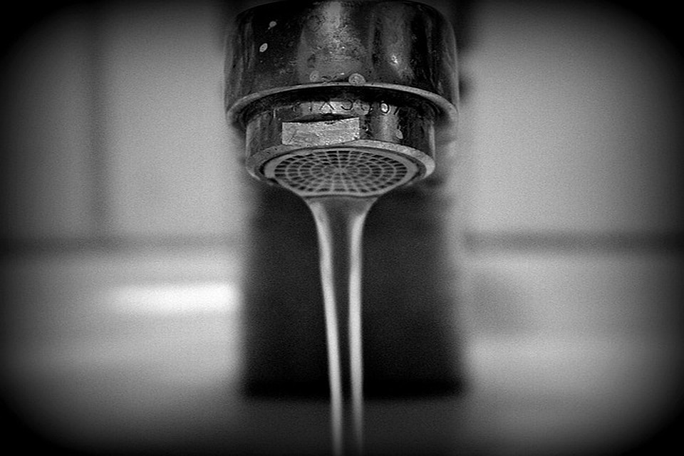 ФОТО: pixabay.com