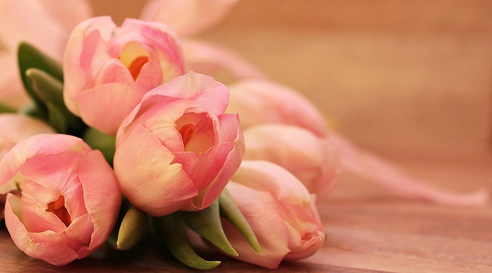 Фото: pixabay.com