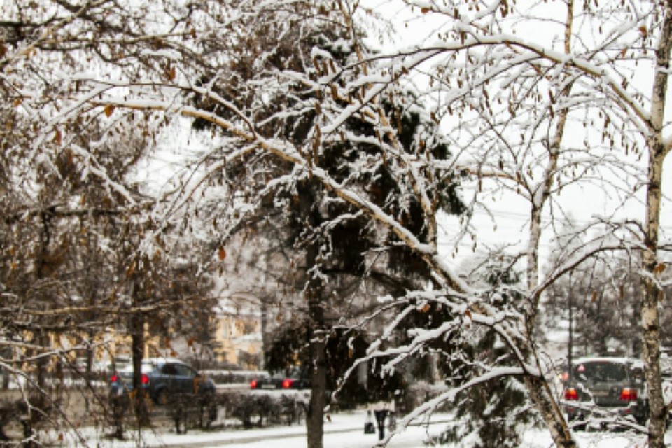 Фото: 55.mchs.gov.ru