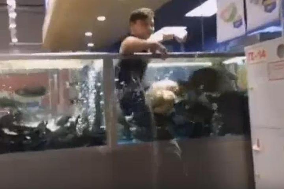 Фото: скриншот с видео.
