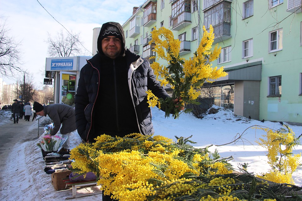 Мимозы не подорожали