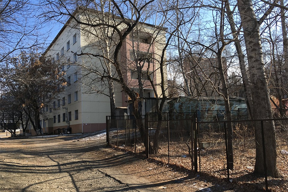 Погода в Хабаровске на 17 марта 2019 года: днем до +8, без осадков