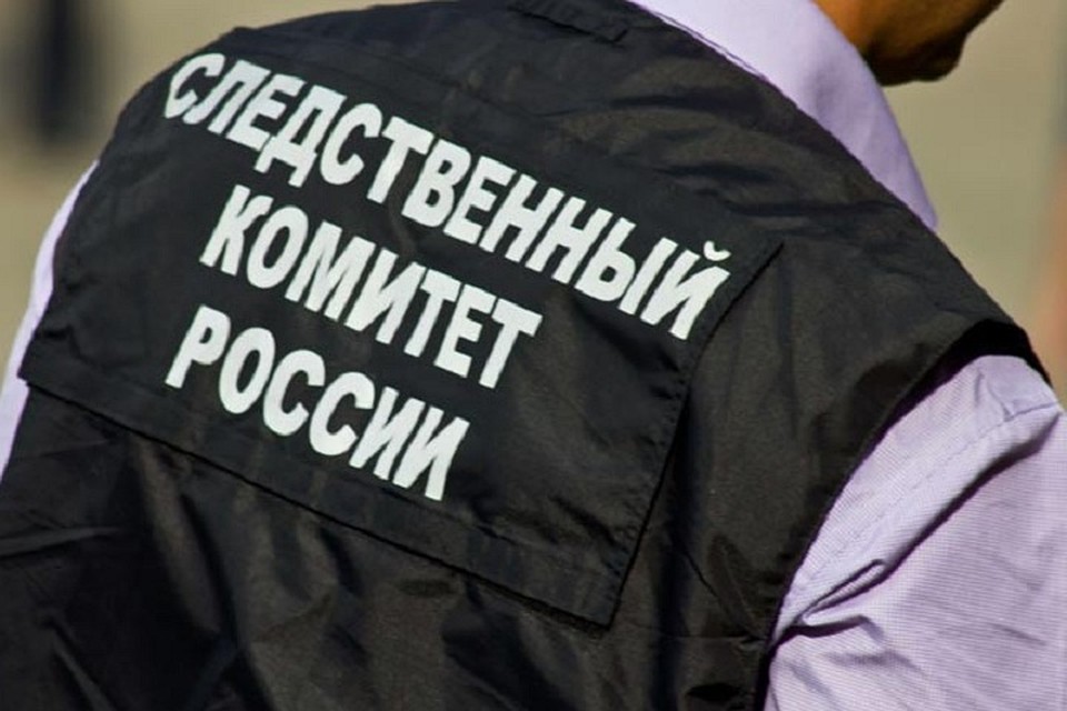 Следственный комитет провел проверку по изложенным в СМИ фактам об угрозах в адрес жительницы Псковской области, ни один из них не подтвердился. Фото: пресс-службе СК России.