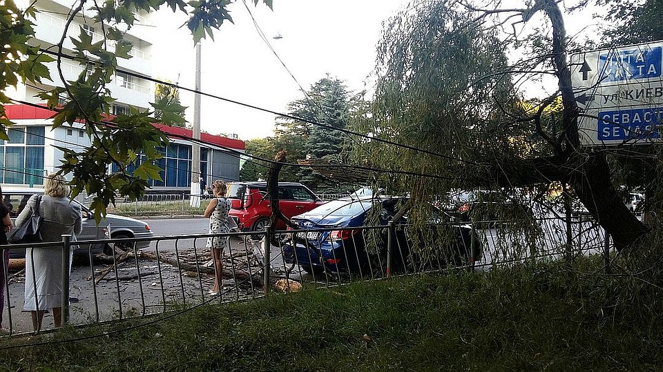 Водителям советуют не оставлять машины под деревьями и линиями электропередач.
