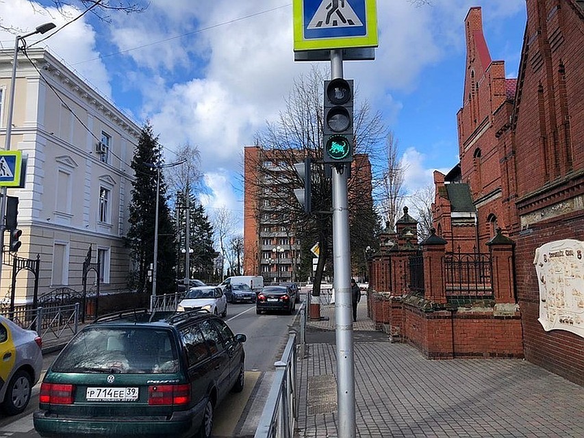 Тот самый кошачий светофор в Зеленоградске.