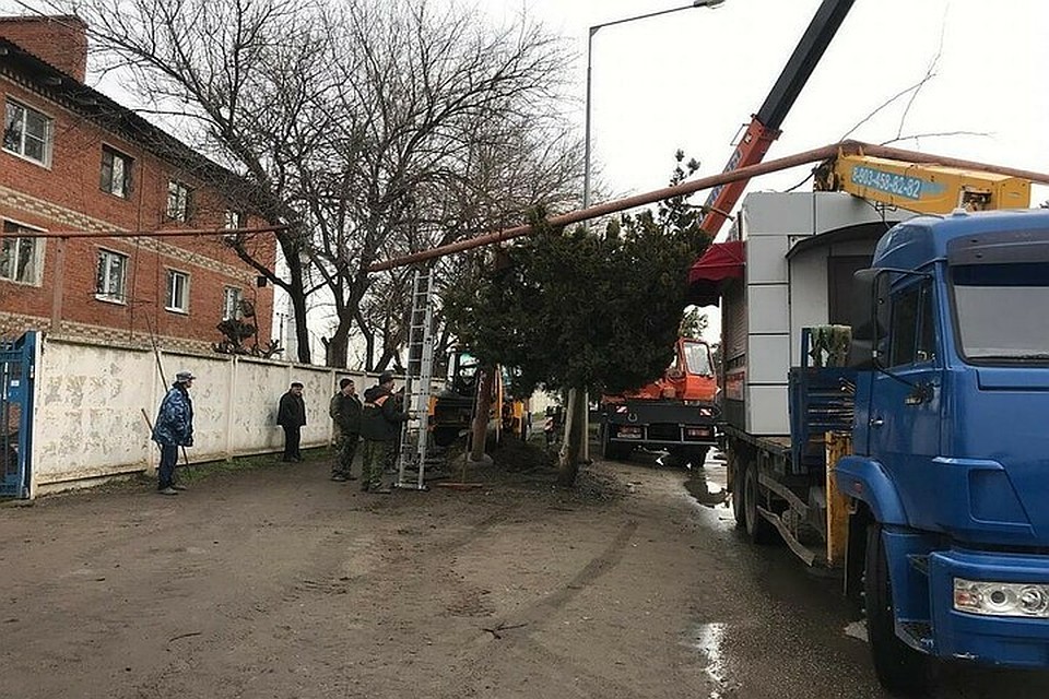 Фото: администрация Краснодара