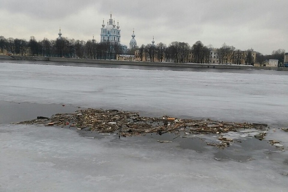 Петербуржцы жалуются на мусор в реках города