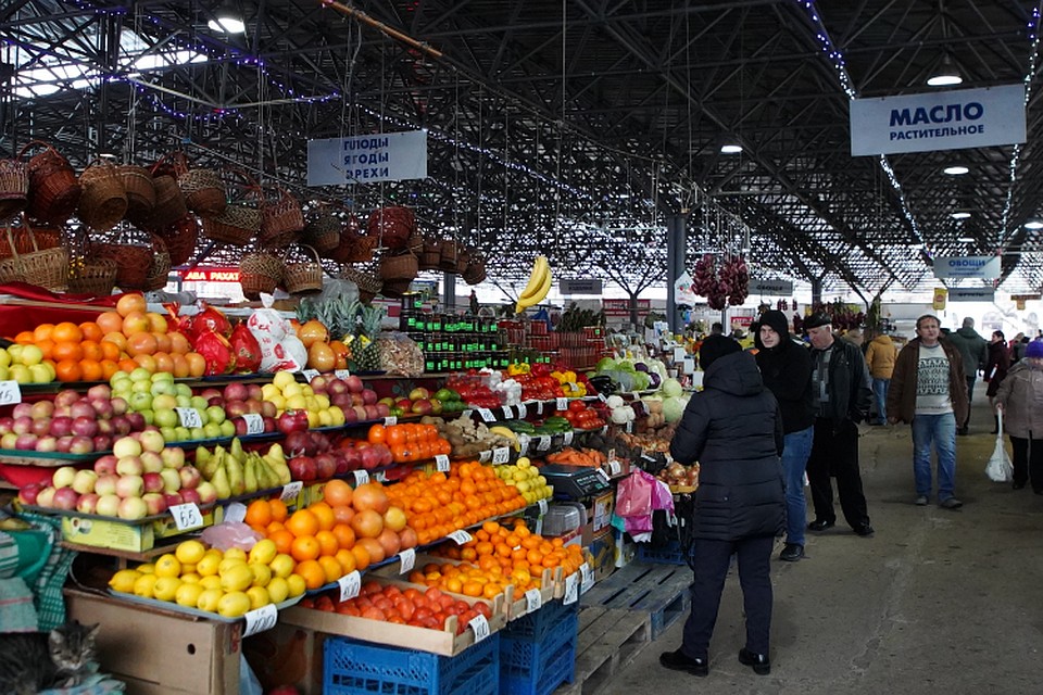 Фото: пресс-служба правительства Севастополя