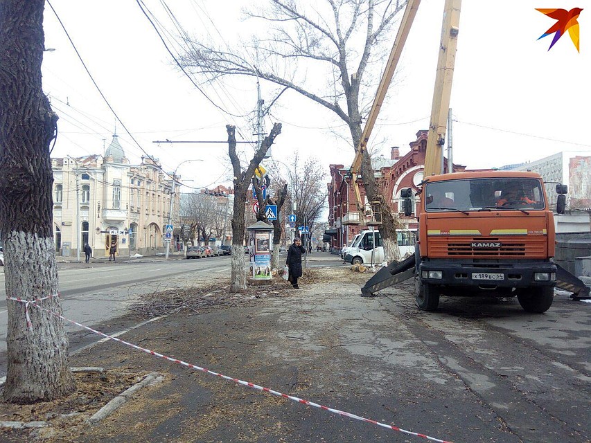 Возле оперного театра опиливают деревья