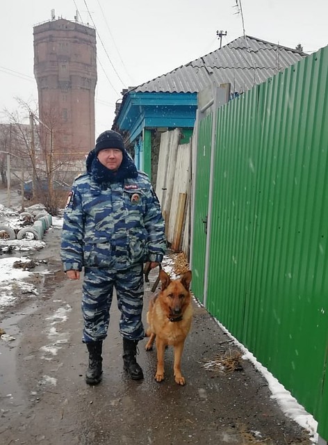 В Омске собака вычислила грабителя пенсионерки