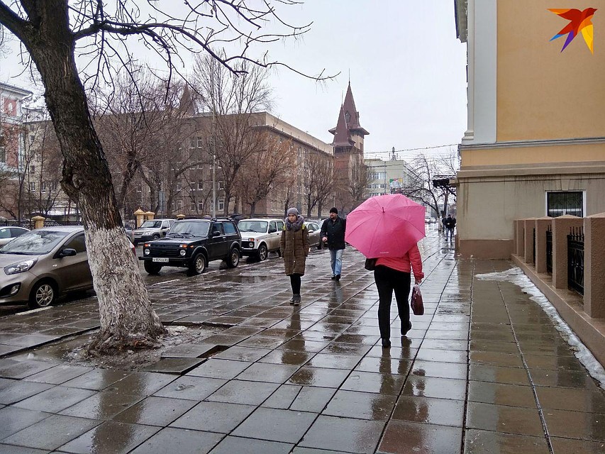 В Саратове будет дождливо