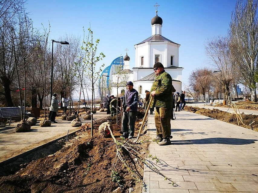 В центре аллеи будут растит липы.