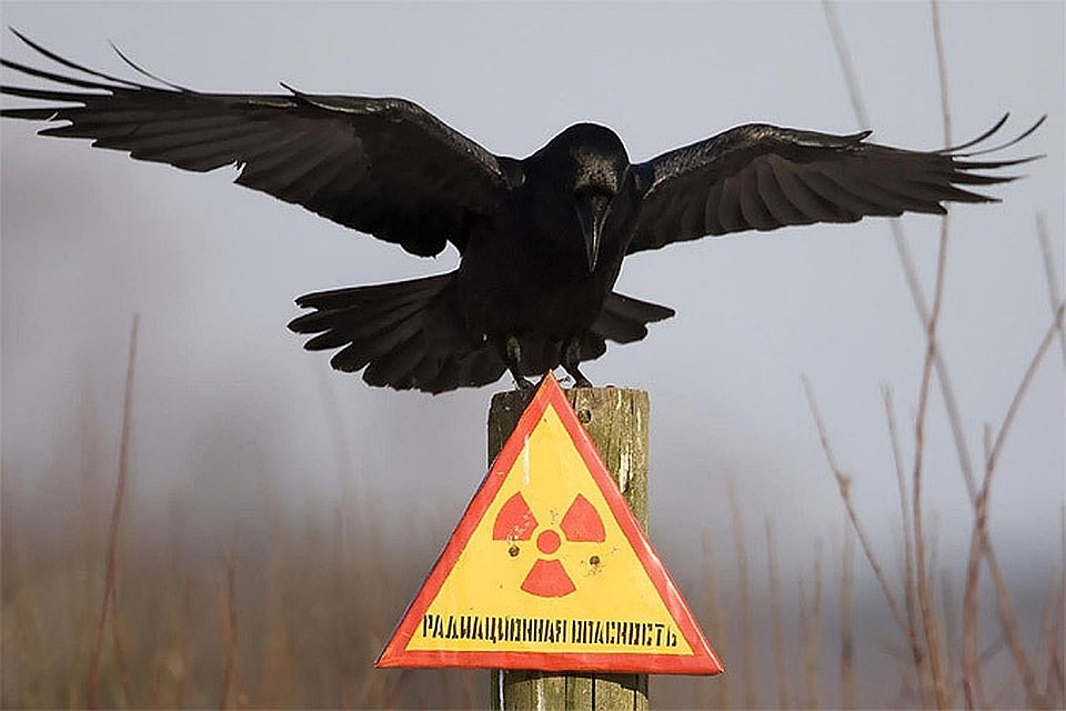 Литва планирует построить в 10 километрах от латвийской границы ядерный могильник. Фото: с сайта spaceleaks.ru
