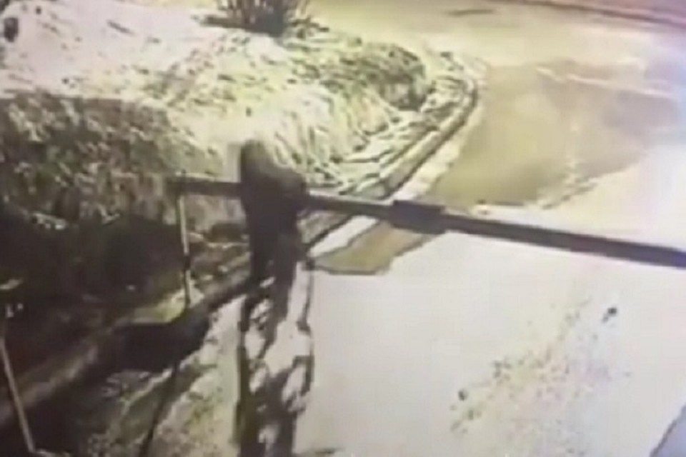 Фото: скриншот с видео